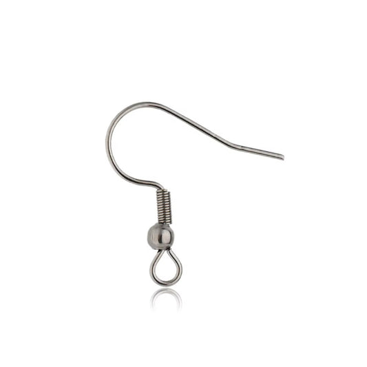 STS37 Fish Hook ( 2 pc ) Silver PVD Plated