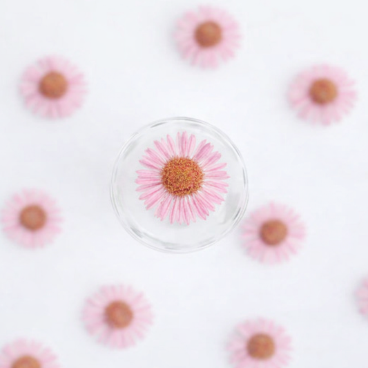 DF 49 Pink Daisy Small Pressed Dried Flower ( 1 pc ) plain dried flower for Resin Art