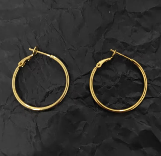 STS81 Hoop ( 1 pair ) 18k Gold PVD