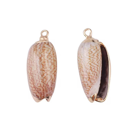 S 1766 Brown Pencil shell gold plated ( 1 pc ) natural shells