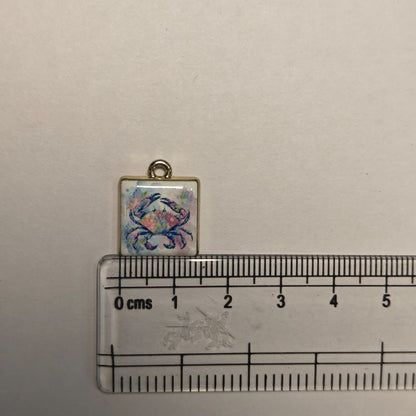 APC01P Square Crab Alloy Printed Charm ( 1 PC )